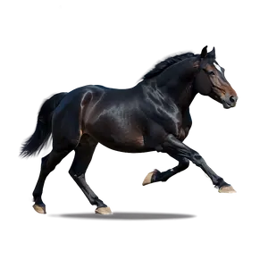 Black Horse In Motion Png 61 PNG image