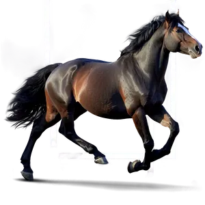 Black Horse On White Background PNG Uwf87 PNG
