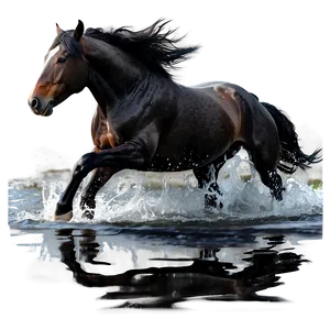 Black Horse Running In Water PNG Phk PNG