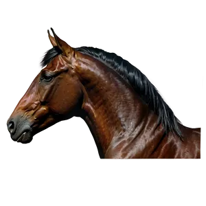Black Horse Side Profile PNG Mwv PNG