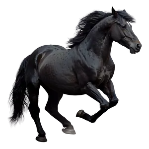 Black Horse Silhouette PNG 58