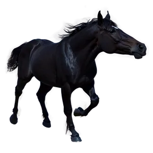 Black Horse Silhouette Under Stars PNG 06262024 PNG