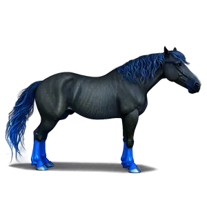 Black Horse With Blue Eyes Png Btw PNG image