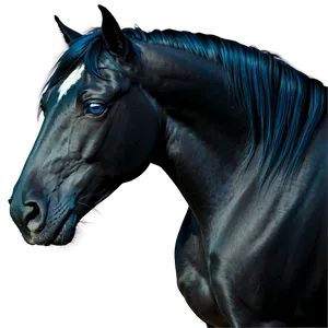 Black Horse With Blue Eyes PNG Som PNG