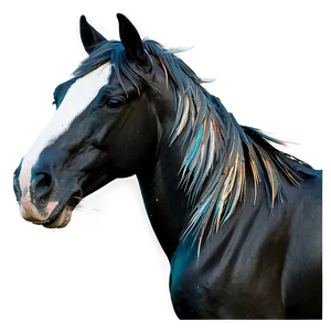 Black Horse With Feathered Hooves PNG 06262024 PNG