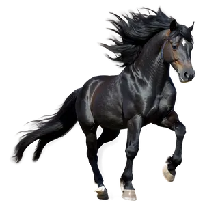 Black Horse With Flowing Mane PNG 06262024 PNG