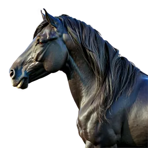 Black Horse With Flowing Mane PNG 78 PNG