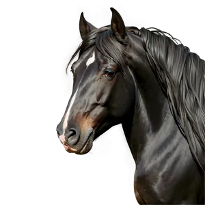 Black Horse With Flowing Mane PNG 96 PNG