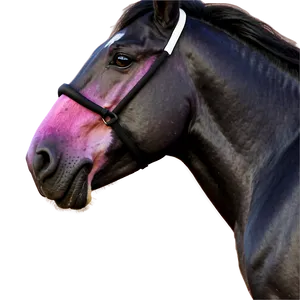 Black Horse With Pink Sunset PNG 29 PNG