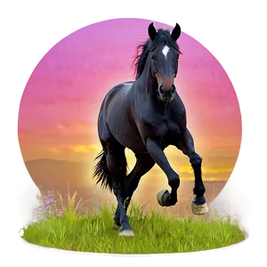 Black Horse With Pink Sunset PNG Bus28 PNG