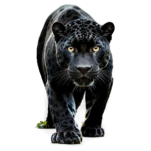 Black Jaguar PNG 05212024