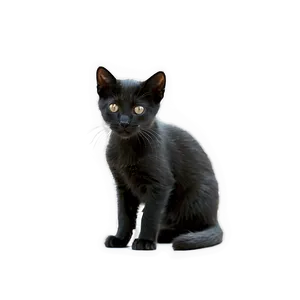 Black Kitten PNG 05232024