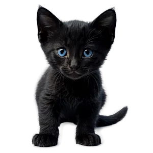 Black Kitten PNG Ham4