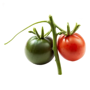 Black Krim Tomato PNG Gcy PNG