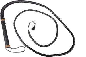 Black Leather Braided Whip PNG image