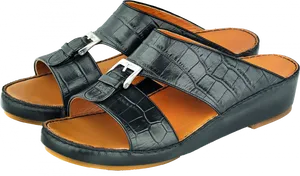 Black Leather Mens Sandals PNG image