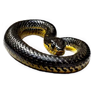 Black Mamba Snake Png 06132024 PNG image