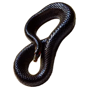 Black Mamba Snake Png 44 PNG image