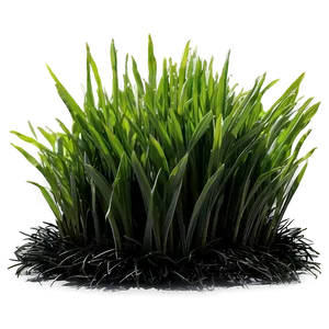 Black Mondo Grass PNG 23 PNG