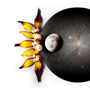 Black Moon Ritual PNG 06252024 PNG