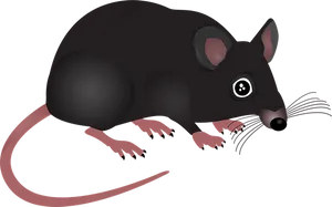 Black Mouse Illustration