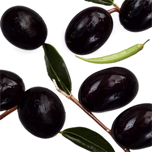 Black Olive Compote PNG 06292024 PNG