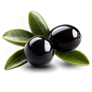 Black Olives On Branch Png 77 PNG image