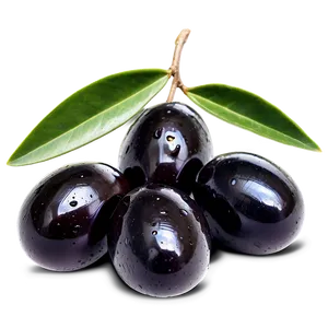 Black Olives On Branch Png Dos28 PNG image