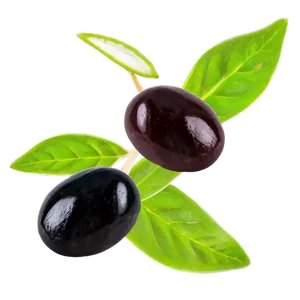 Black Olives With Herbs Png Fxn87 PNG image