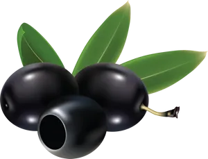 Black Oliveswith Leaves Graphic PNG image