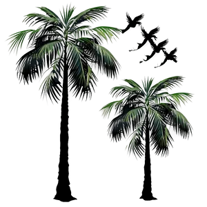 Black Palm Tree With Birds Png 06262024 PNG image