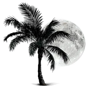 Black Palm Tree With Moon Png 06262024 PNG image