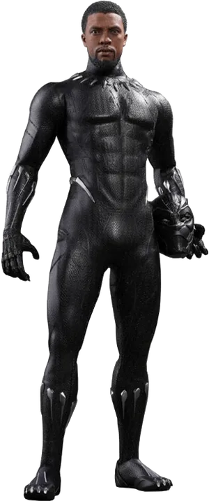 Black Panther Character Pose