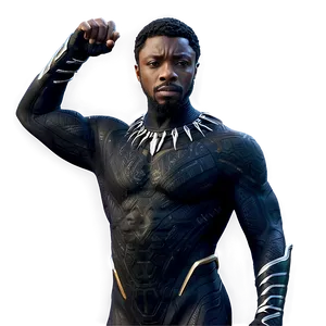 Black Panther King T'challa PNG 05212024 PNG