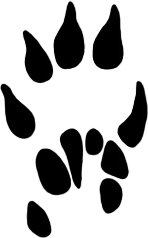 Black Paw Print Silhouette PNG image