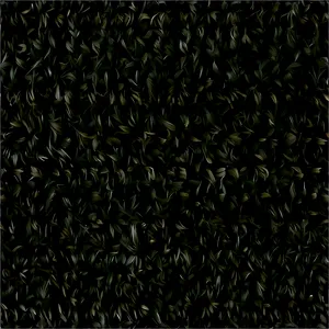 Black Plush Carpet Texture Png 2 PNG image