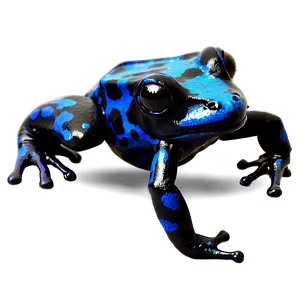 Black Poison Dart Frog PNG 99
