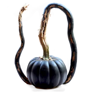 Black Pumpkin Background PNG 06282024