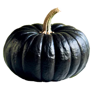 Black Pumpkin On Hay PNG Egq99 PNG