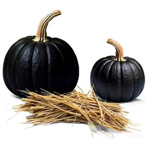 Black Pumpkin On Hay PNG Qmd PNG