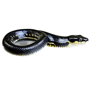 Black Python Illustration PNG Kri PNG