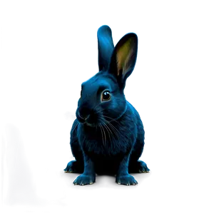 Black Rabbit PNG Wsu9