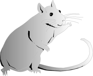Black Rat Silhouette