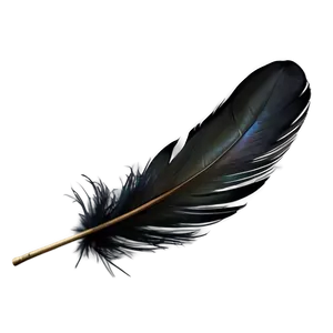Black Raven Feather Png 49 PNG image