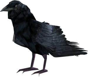 Black Raven Profile