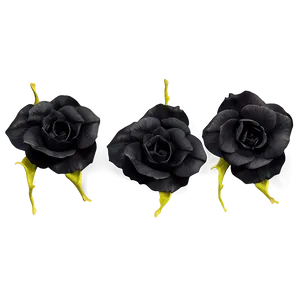 Black Rose Petals PNG 05252024 PNG