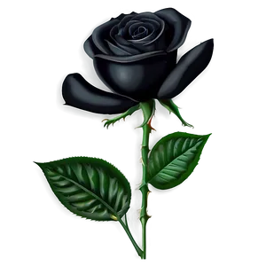 Black Roses Background Png Knr PNG image