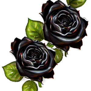 Black Roses Border Png Hry18 PNG image