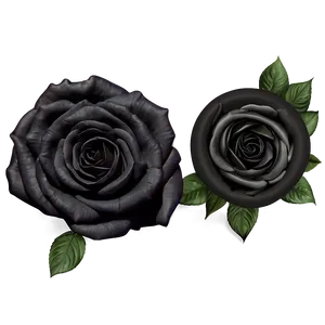 Black Roses Decoration PNG Owm30