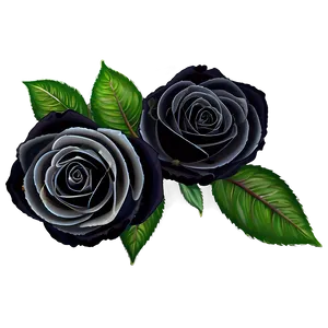 Black Roses For Corsage PNG Wix46 PNG
